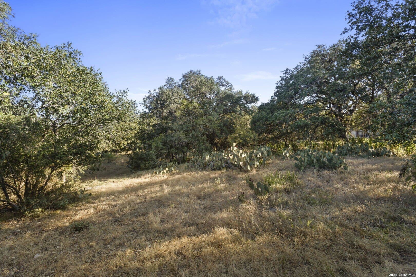 3.59 acres in Kendall County - photo 5