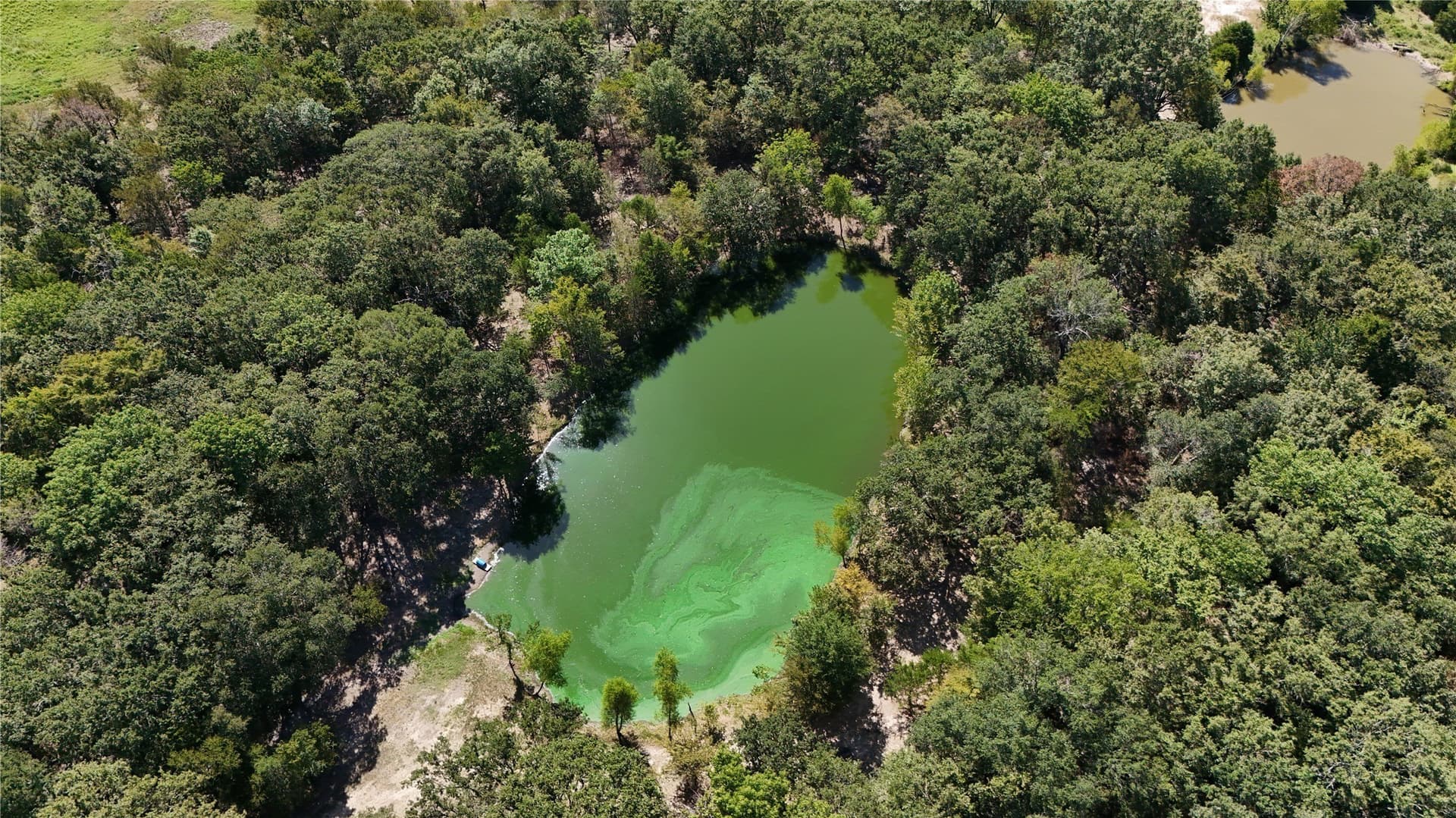 39.32 acres in Kaufman County - photo 34
