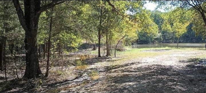 39.32 acres in Kaufman County - photo 22