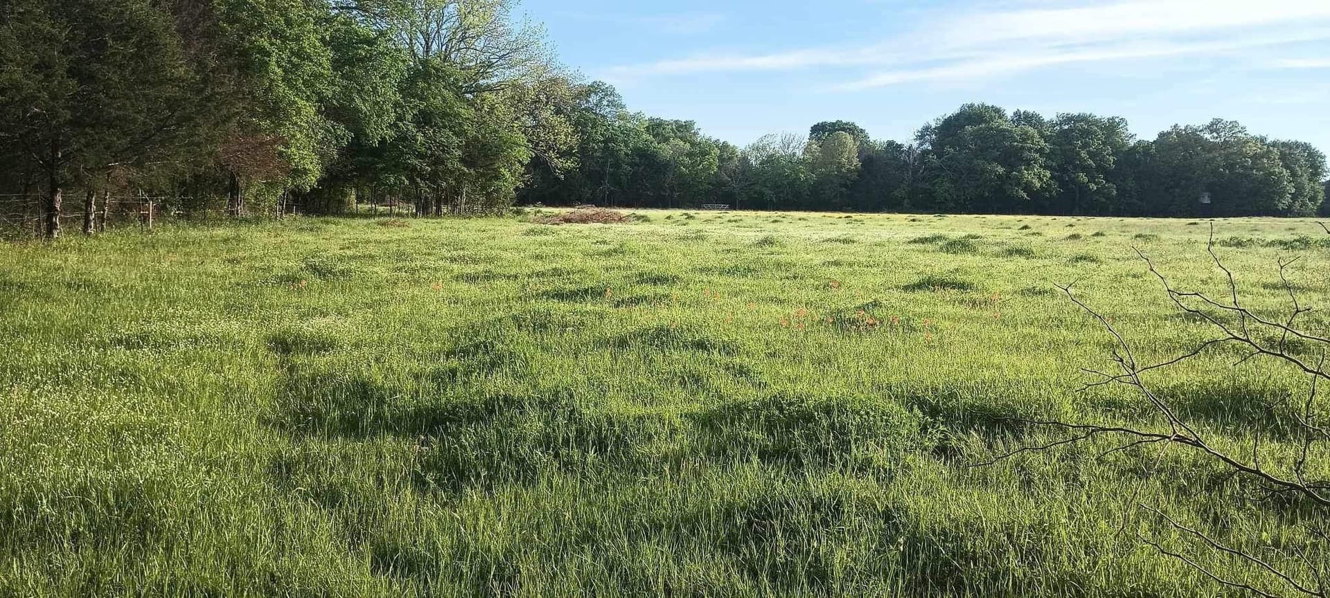 39.32 acres in Kaufman County - photo 23