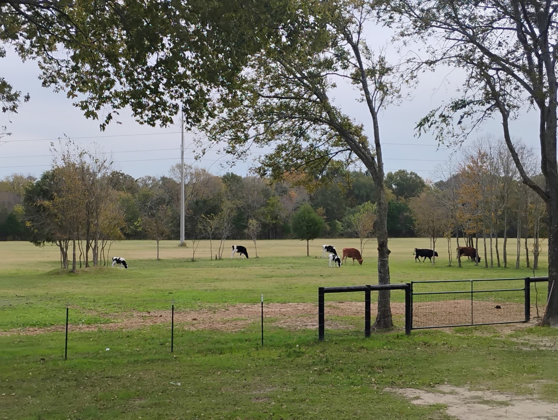 39.32 acres in Kaufman County - photo 36