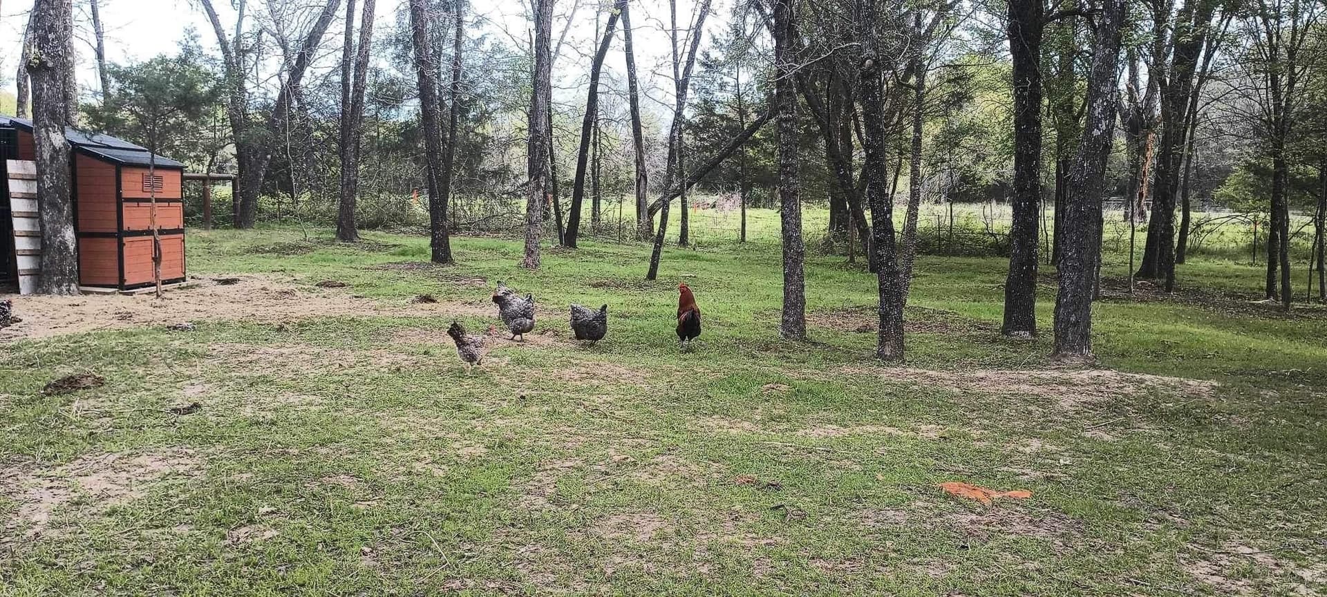 39.32 acres in Kaufman County - photo 12