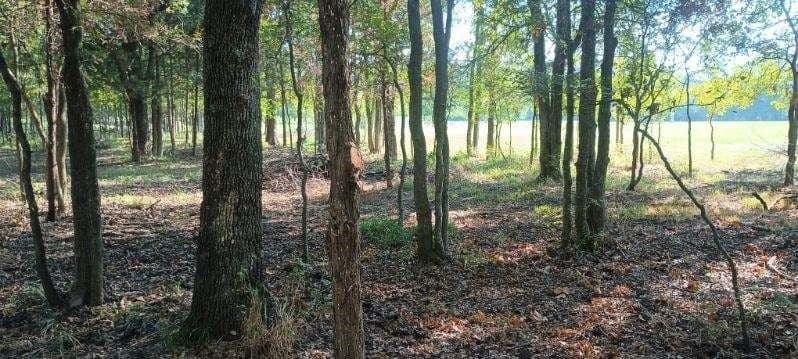 39.32 acres in Kaufman County - photo 19