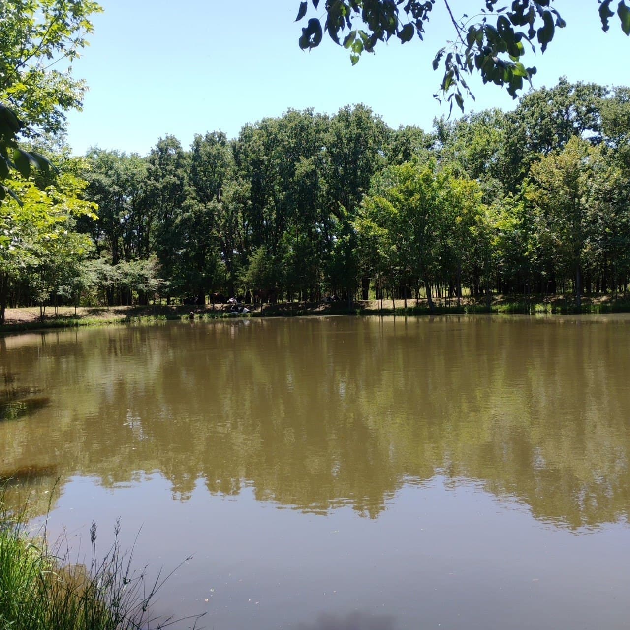 39.32 acres in Kaufman County - photo 35