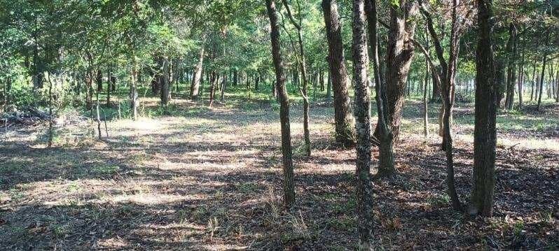 39.32 acres in Kaufman County - photo 20