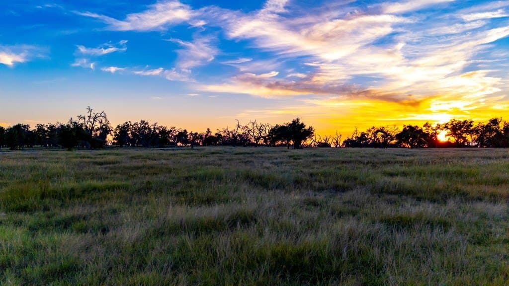 5.44 acres in Gillespie County - photo 16