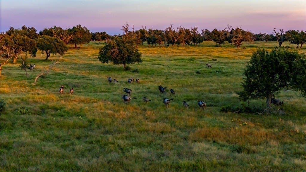 5.44 acres in Gillespie County - photo 6