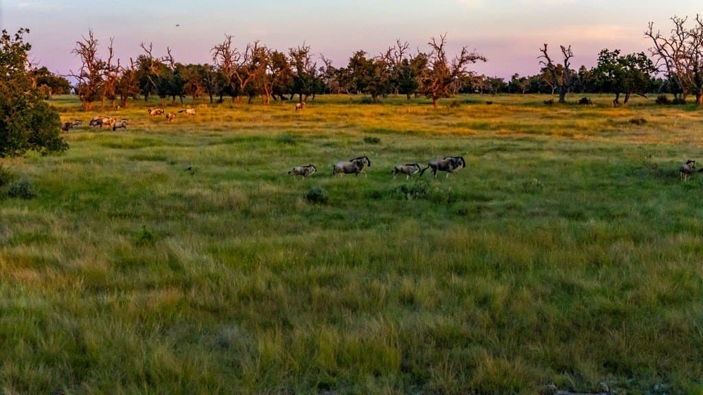 5.44 acres in Gillespie County - photo 9
