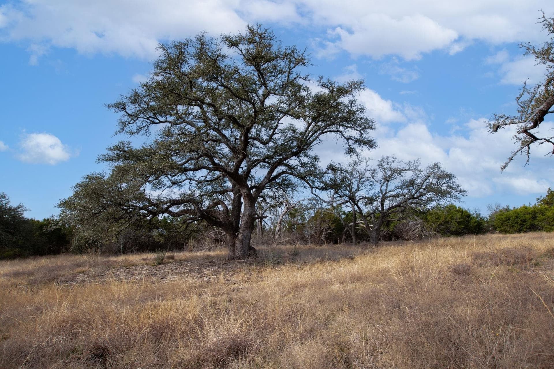 5.95 acres in Burnet County - photo 6