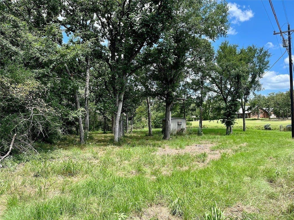 0.56 acres in Limestone County - photo 6