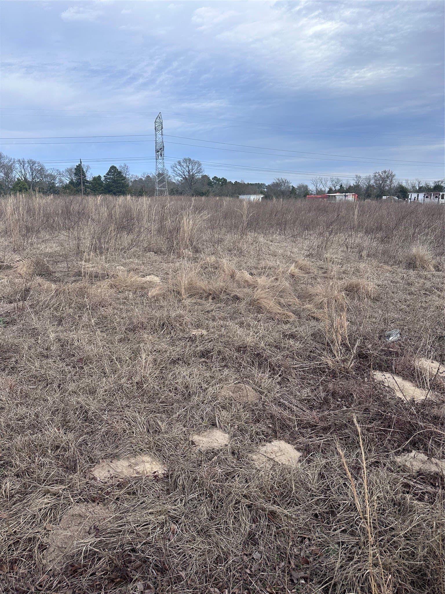 5.02 acres in Henderson County - photo 4