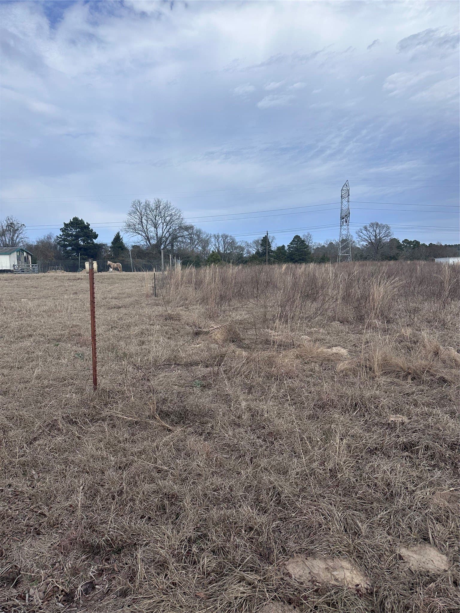 5.02 acres in Henderson County - photo 6