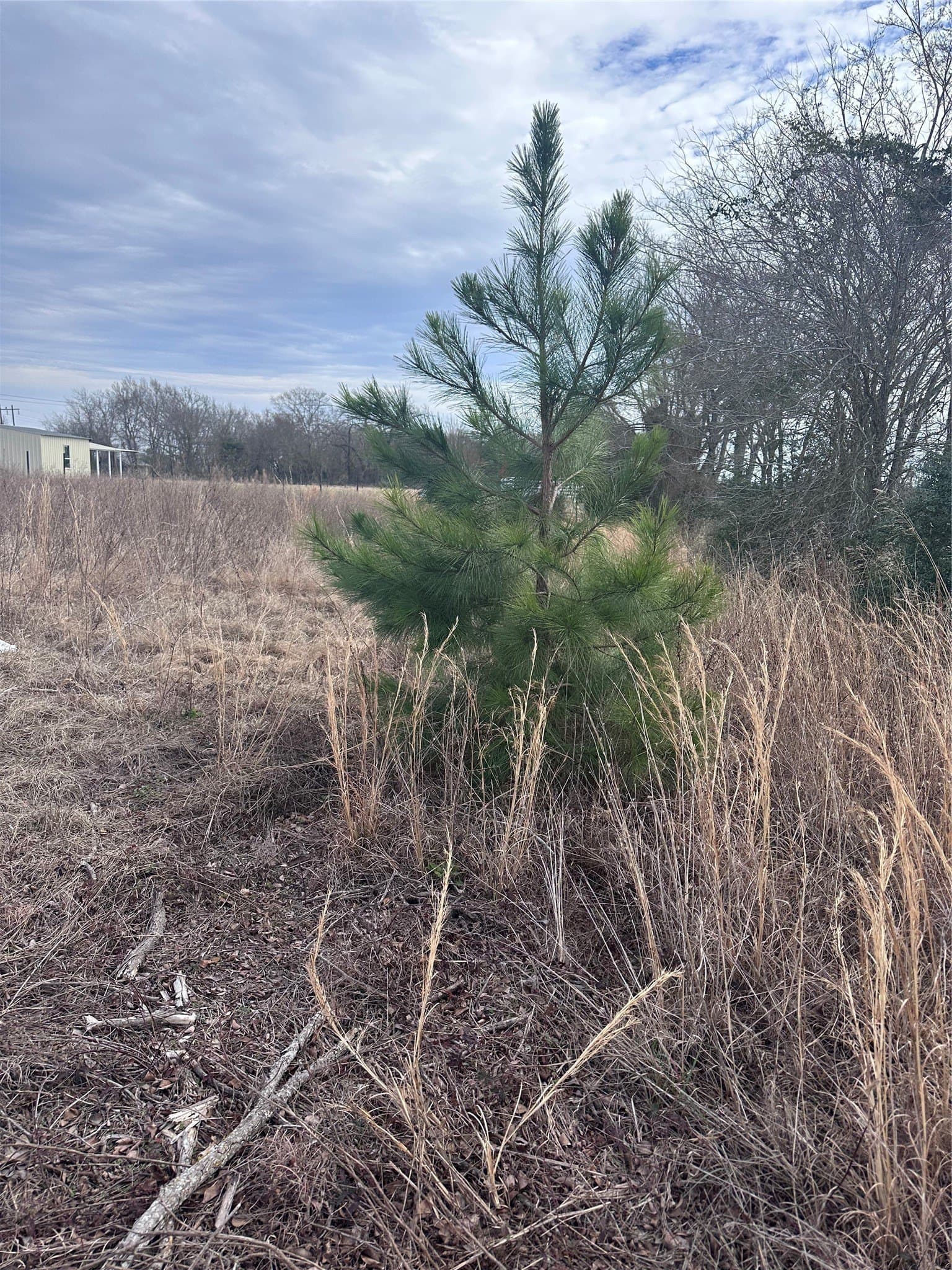 5.02 acres in Henderson County - photo 5
