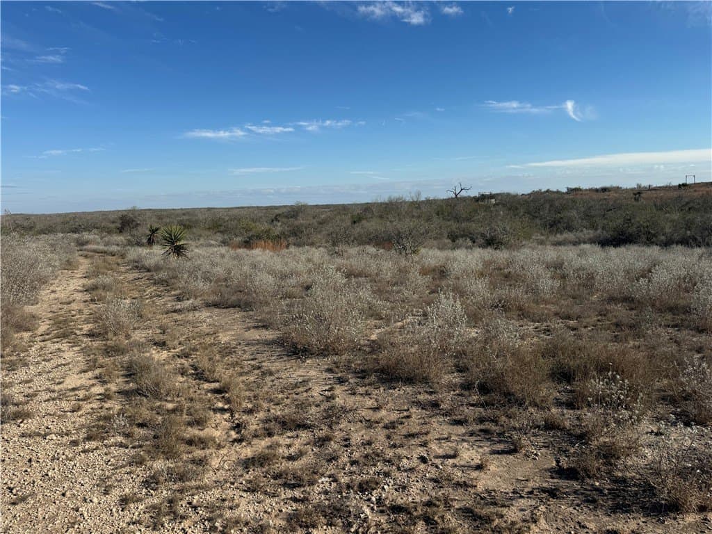 15 acres in Jim Wells County gallery image 4