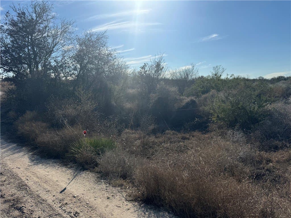 15 acres in Jim Wells County gallery image 2