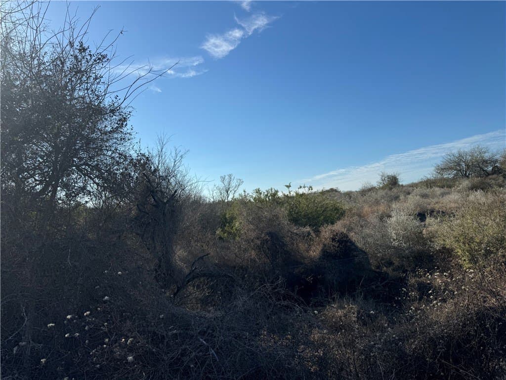 15 acres in Jim Wells County featured view
