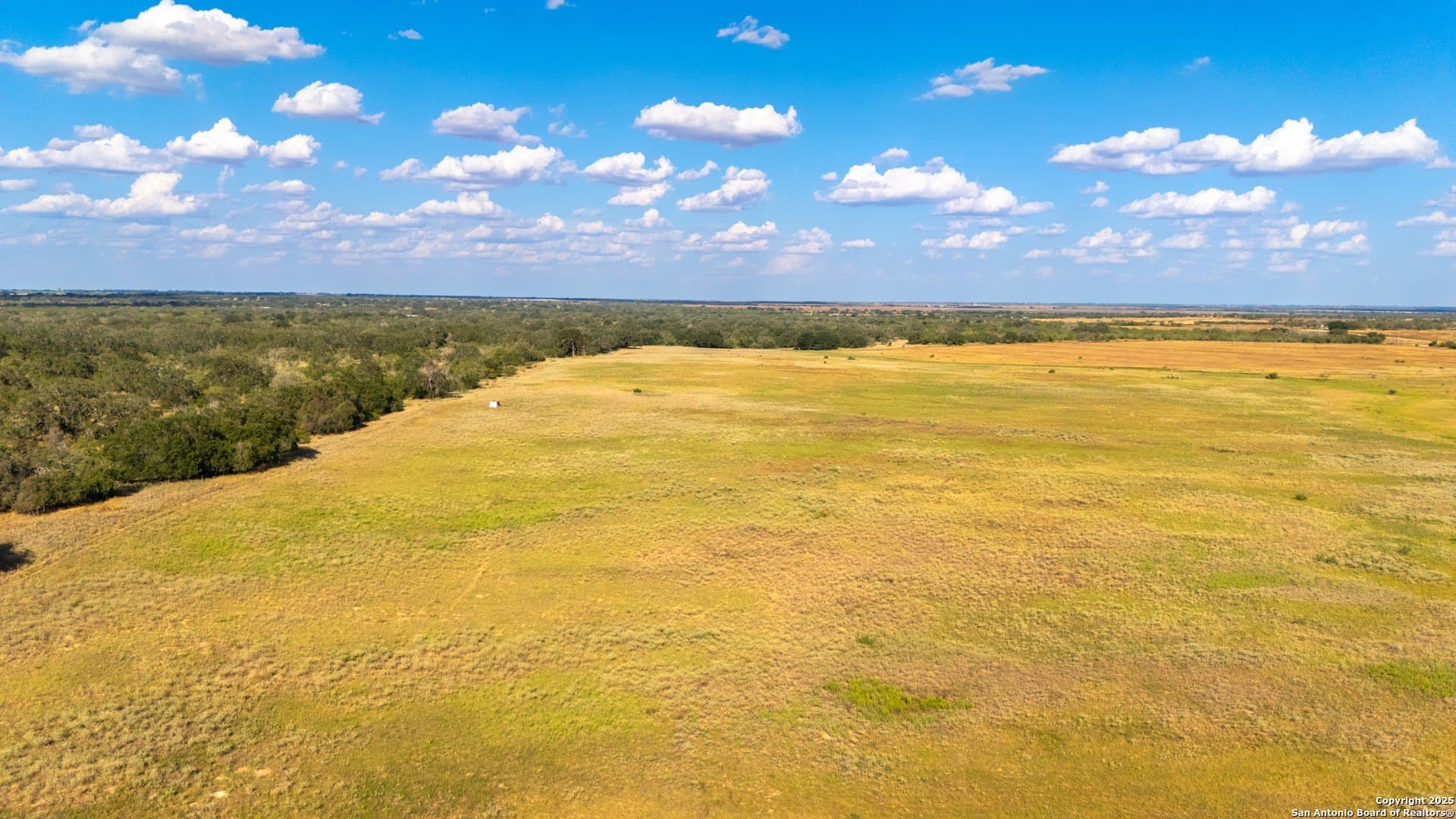 23.66 acres in Wilson County - photo 6