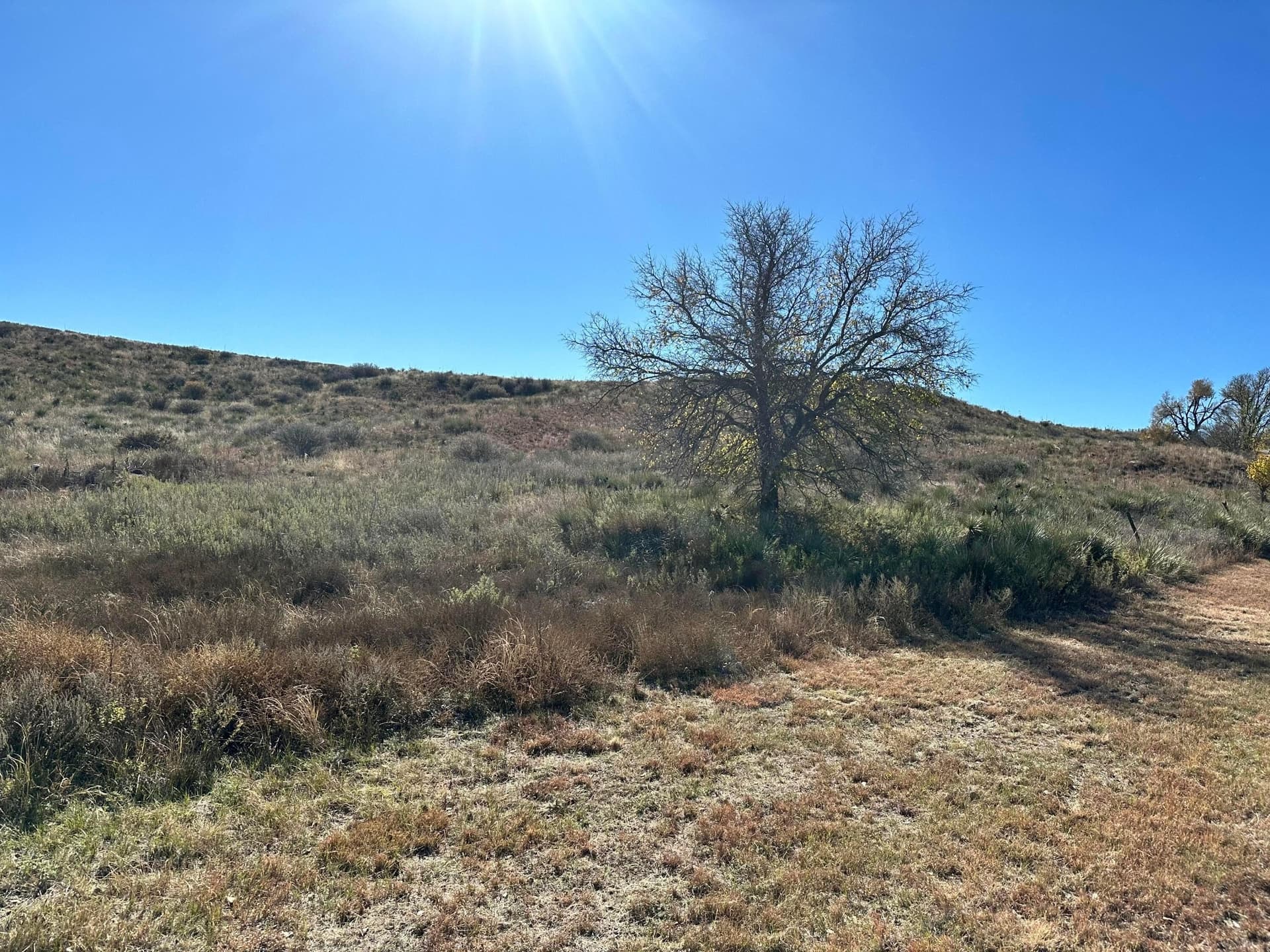 13.14 acres in Potter County gallery image 2