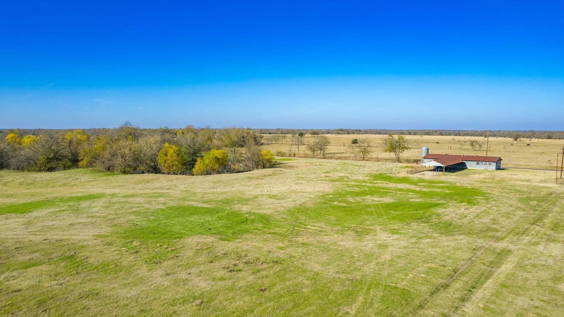 15.65 acres in Hopkins County - photo 6