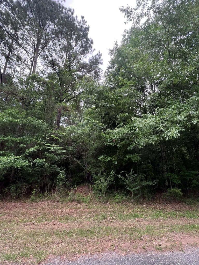 1.09 acres in Texas County gallery image 2