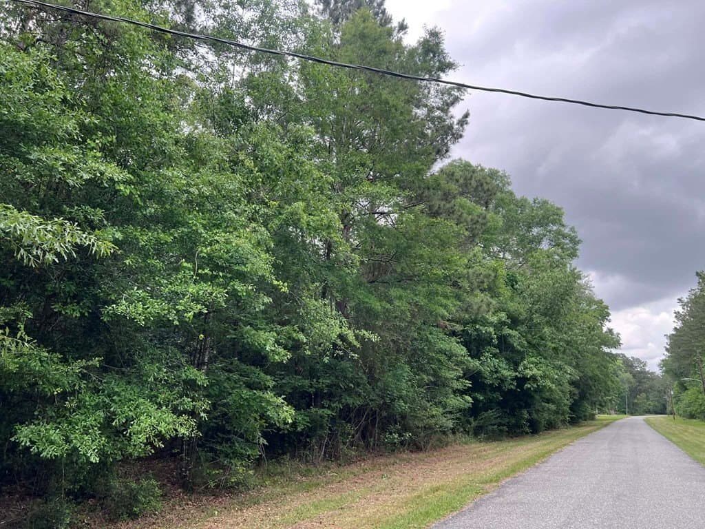 1.09 acres in Texas County gallery image 3
