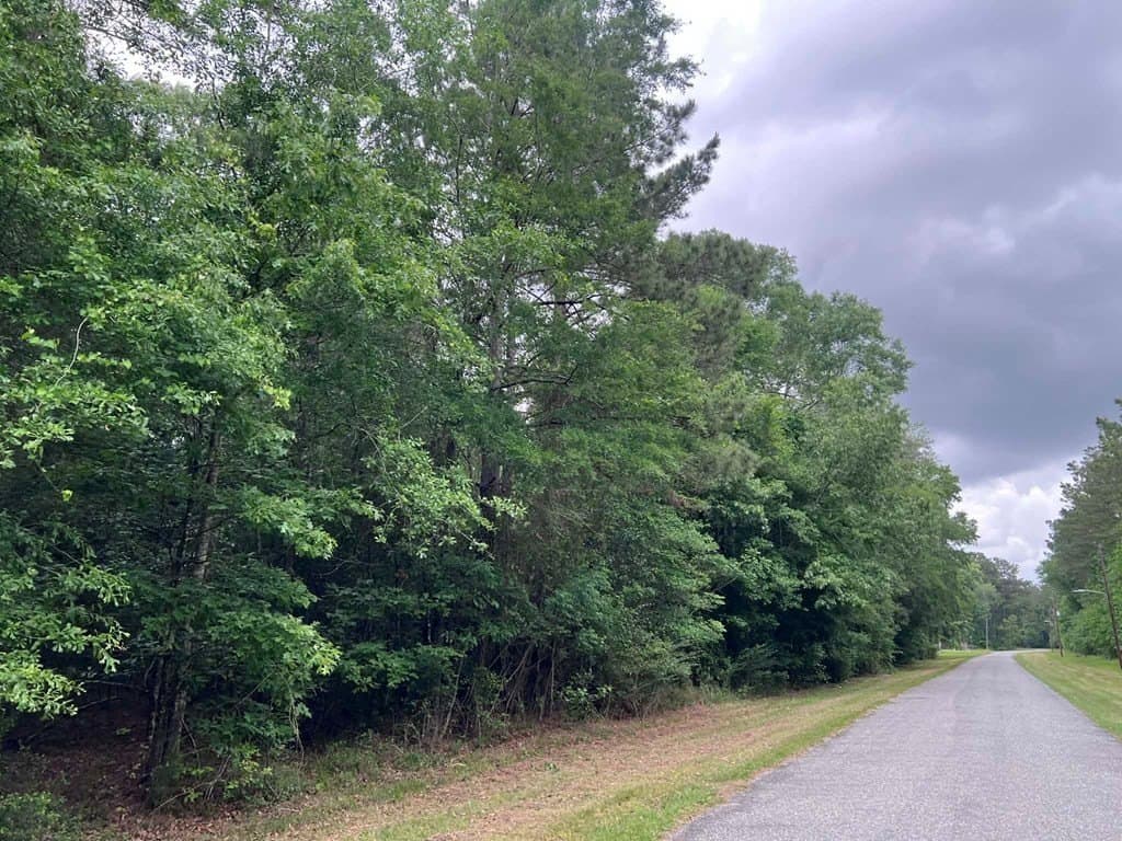 1.09 acres in Texas County featured view