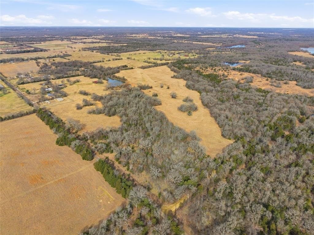 72.02 acres in Hopkins County gallery image 4