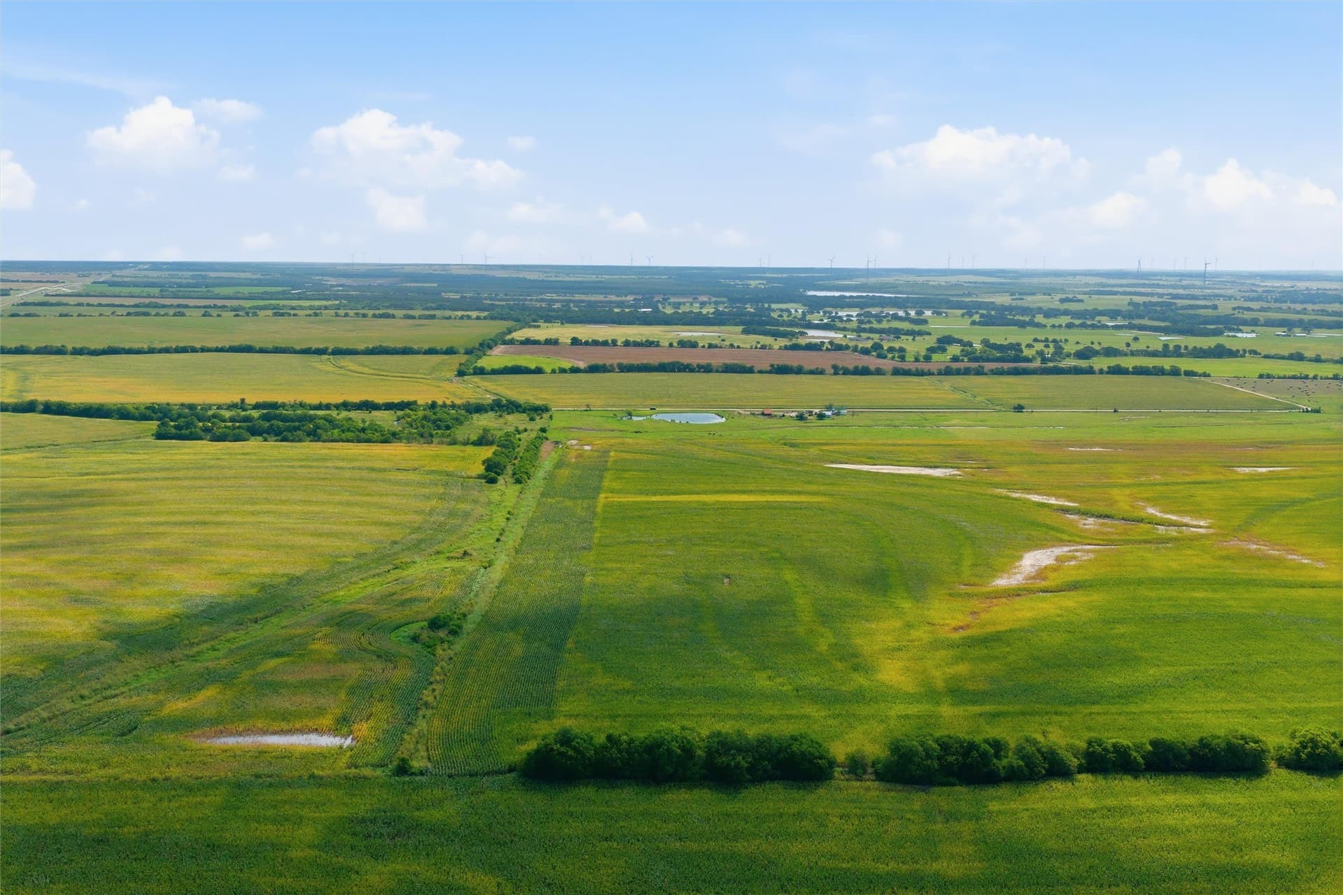 23 acres in McLennan County - photo 3
