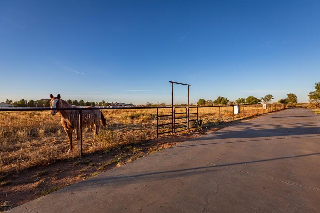 17.73 acres in Midland County - photo 105