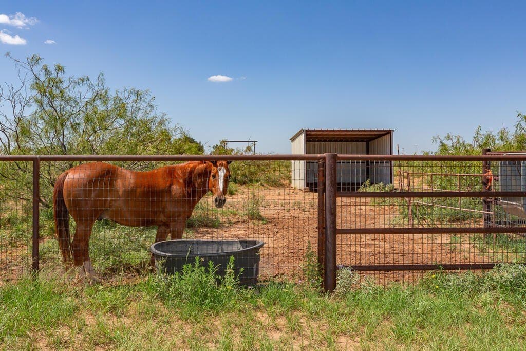 17.73 acres in Midland County - photo 25