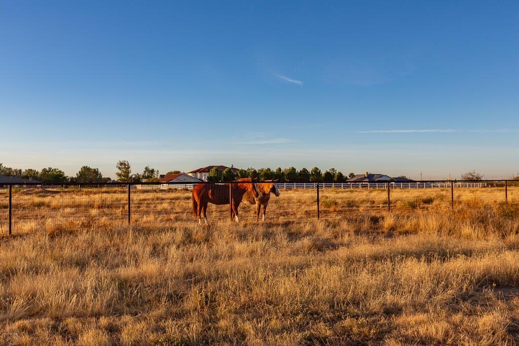 17.73 acres in Midland County - photo 102