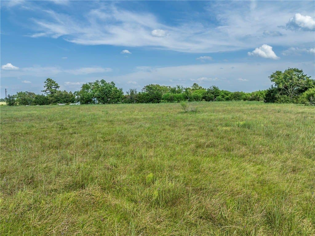 34.65 acres in AUSTIN County - photo 12