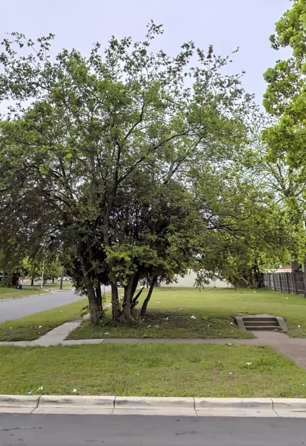 0.19 acres in Dallas County - photo 18