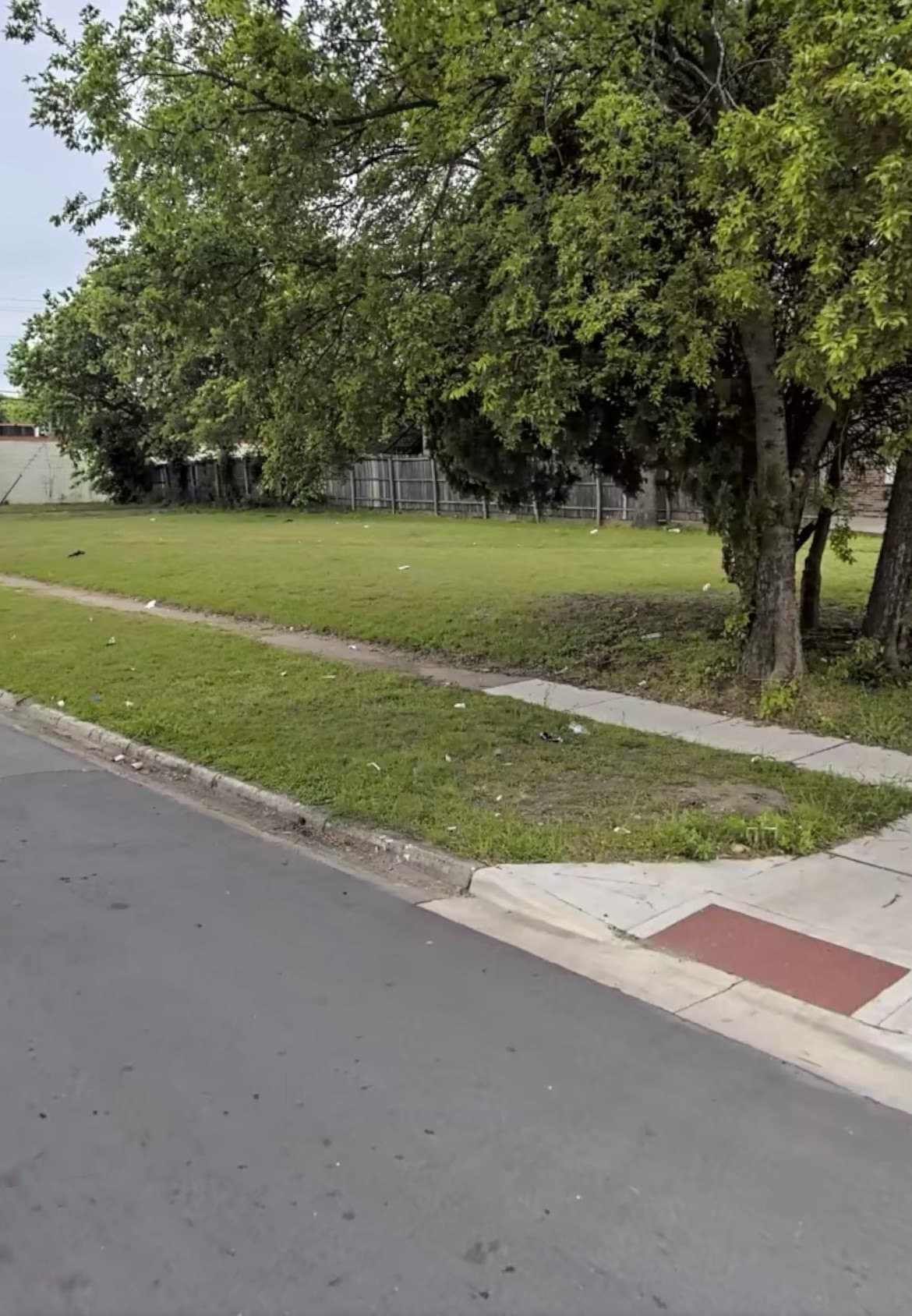 0.19 acres in Dallas County - photo 17