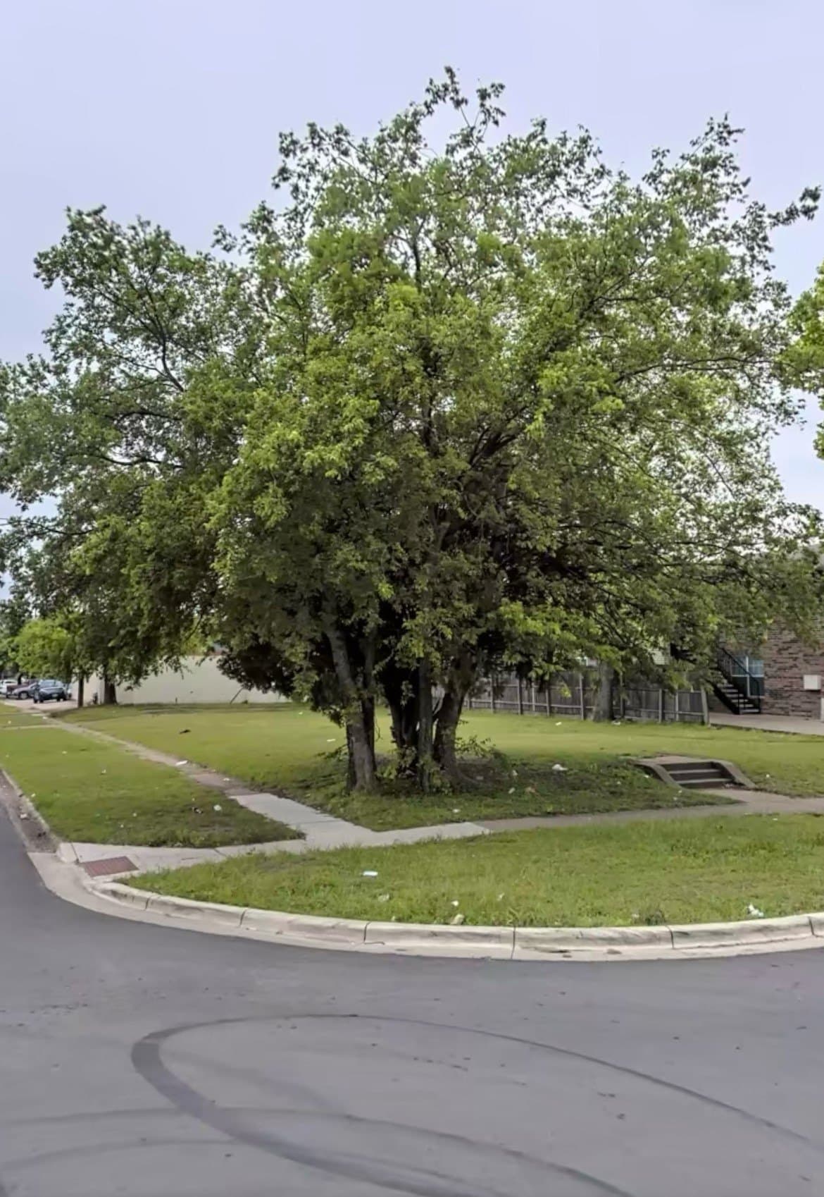 0.19 acres in Dallas County - photo 12