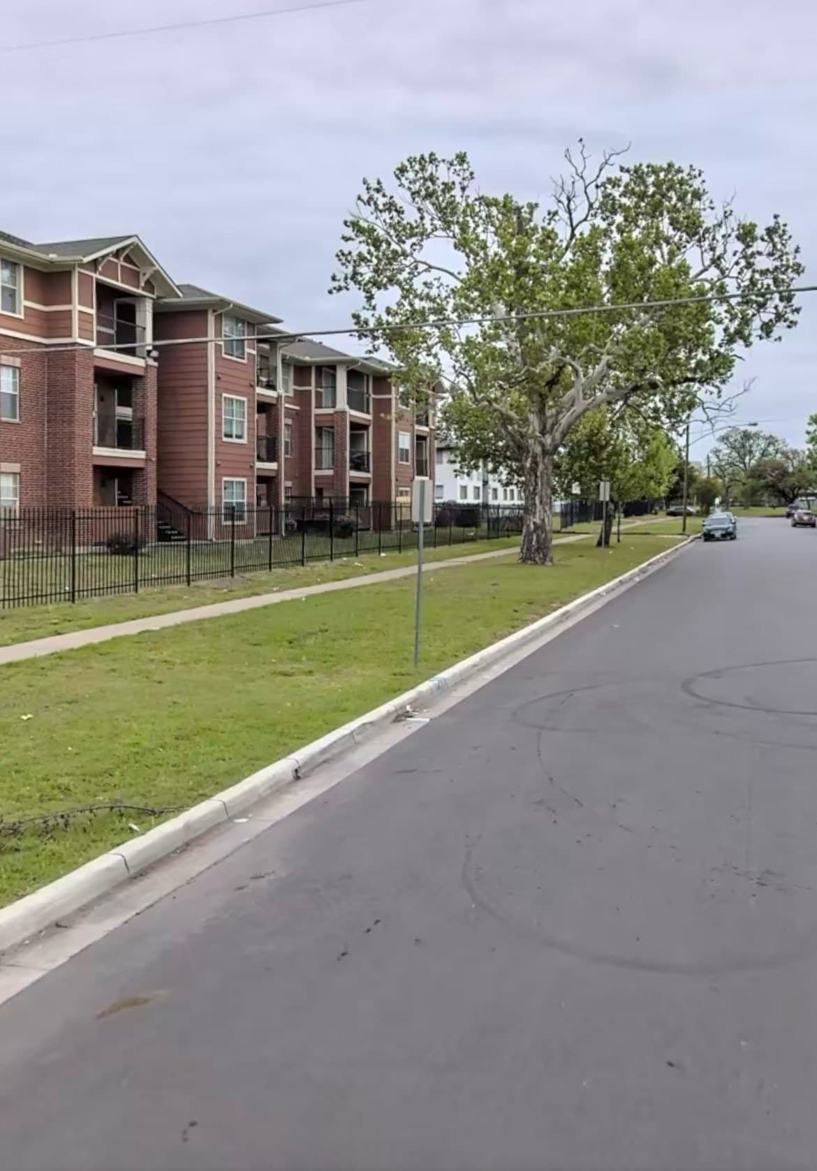 0.19 acres in Dallas County - photo 20