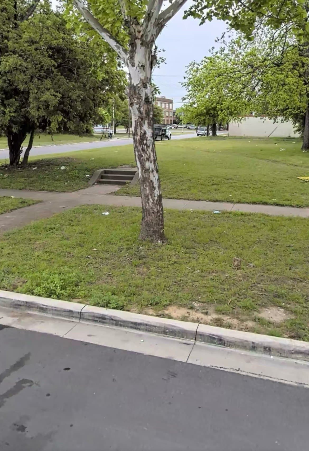 0.19 acres in Dallas County - photo 14