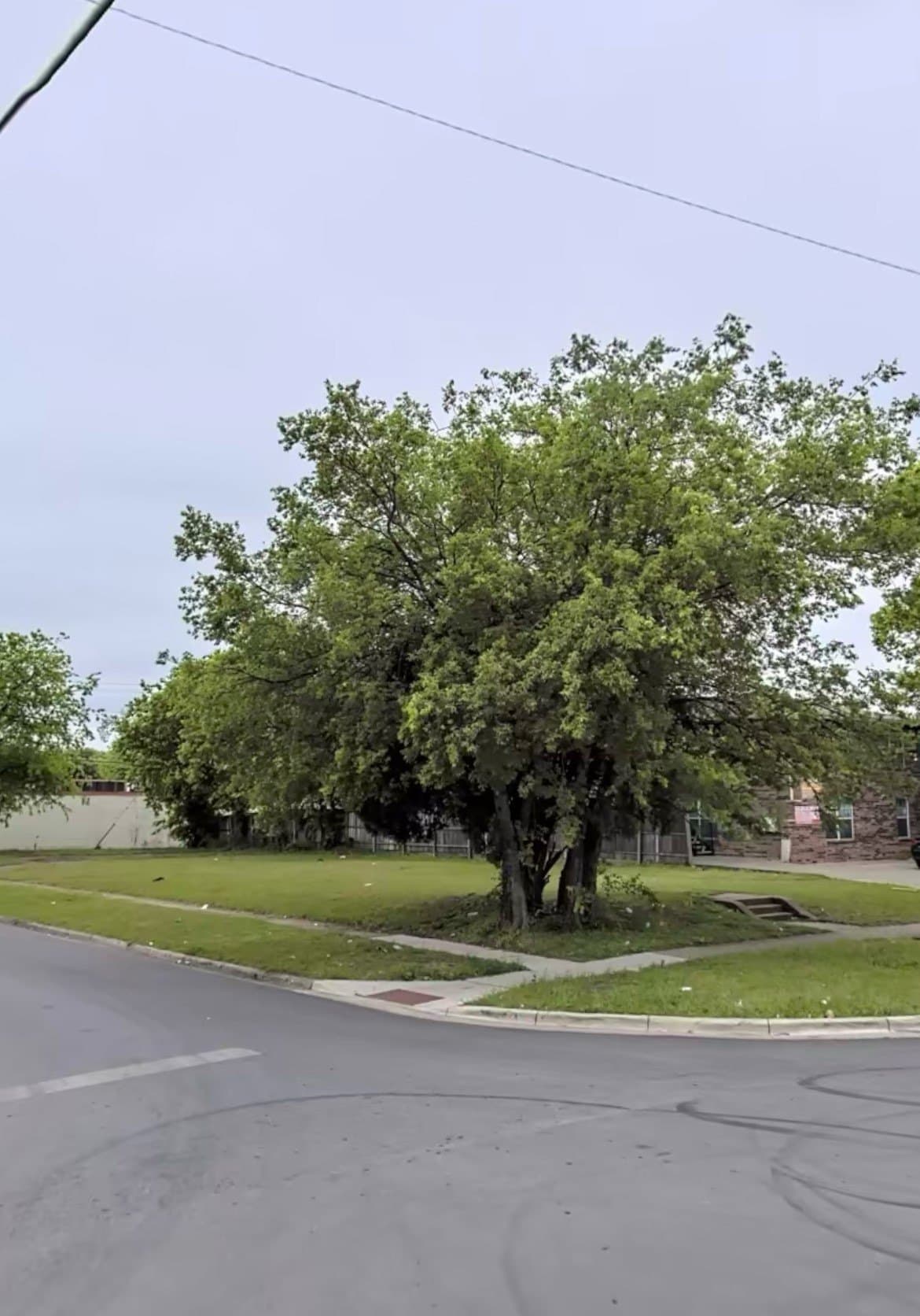 0.19 acres in Dallas County - photo 13