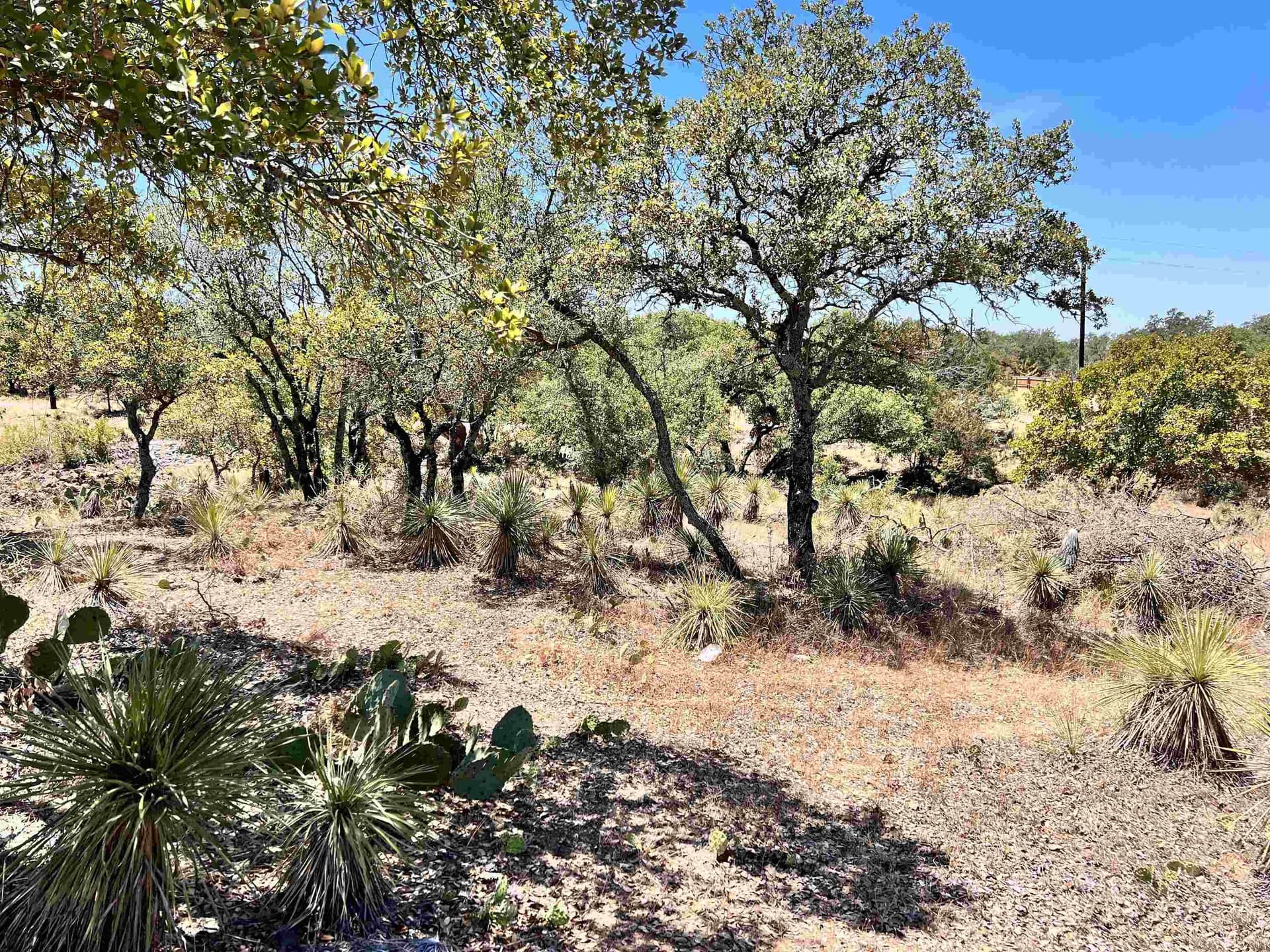 0.11 acres in Burnet County gallery image 2