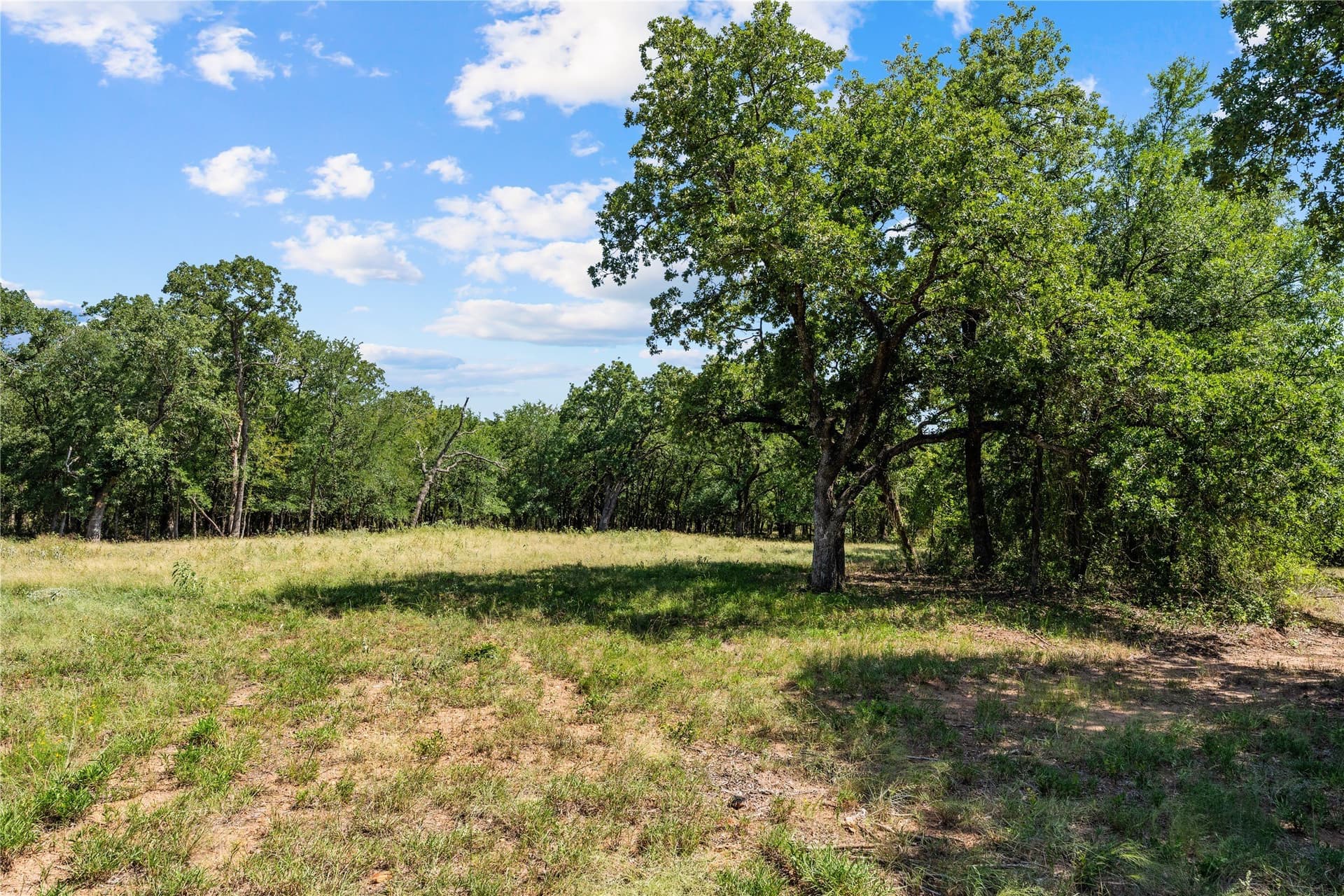 5 acres in Hill County - photo 3
