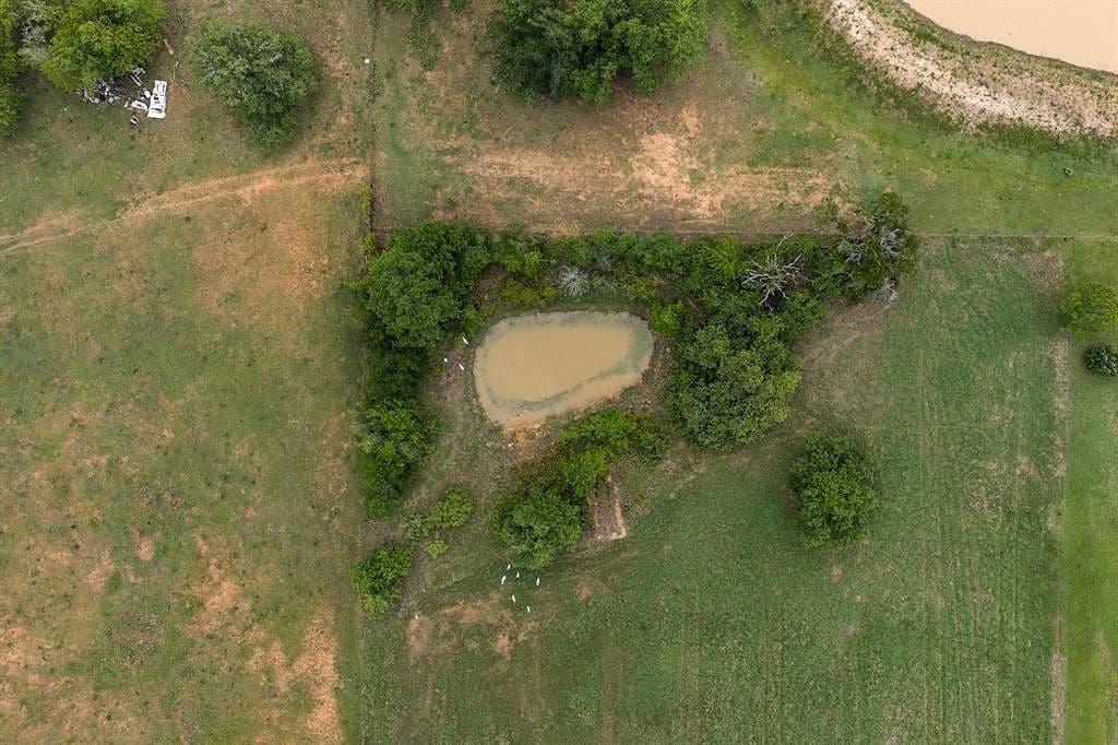 8.07 acres in Milam County - photo 19
