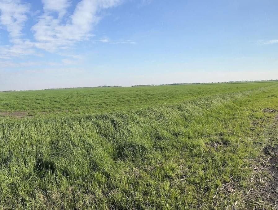 33.41 acres in Ellis County gallery image 4
