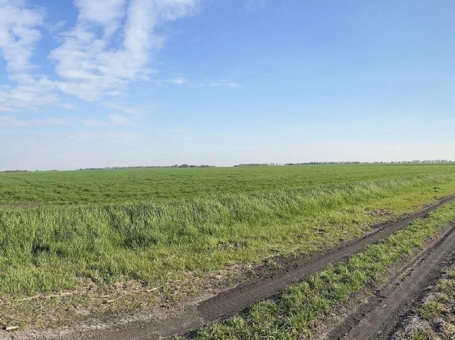 33.41 acres in Ellis County gallery image 2