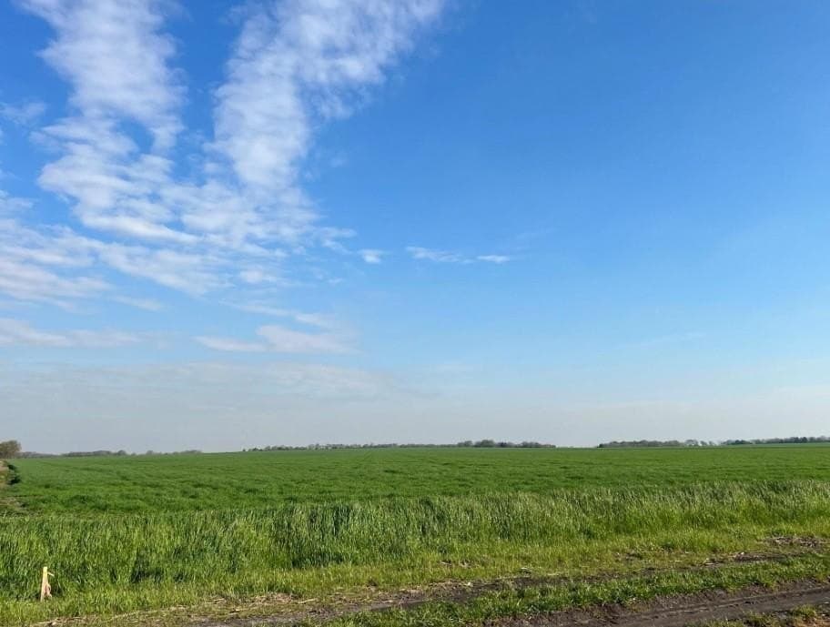 33.41 acres in Ellis County
