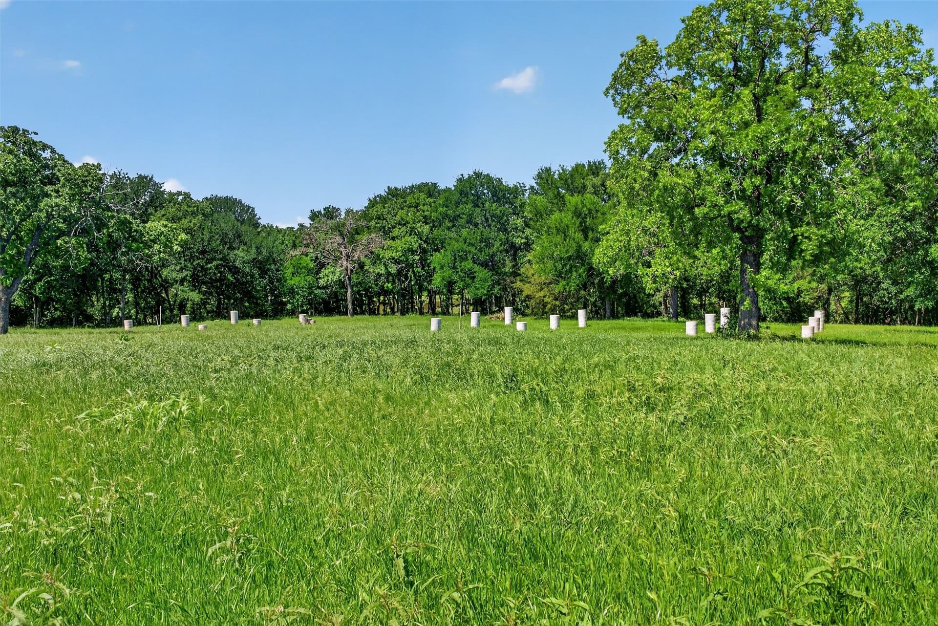 11.98 acres in Wise County - photo 2