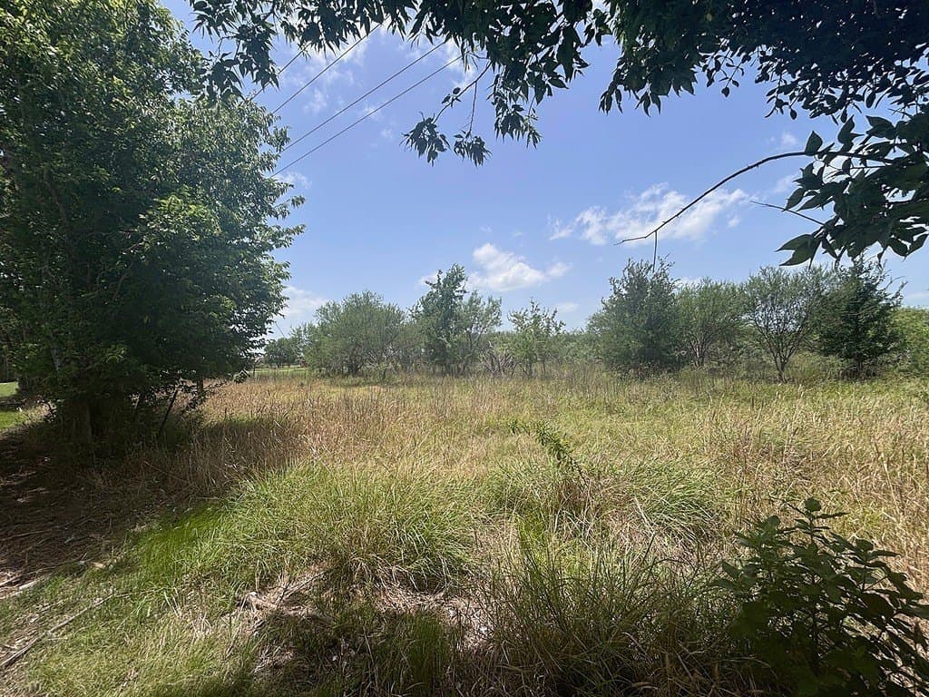 10.5 acres in Waller County gallery image 4