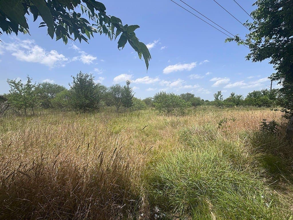 10.5 acres in Waller County gallery image 3