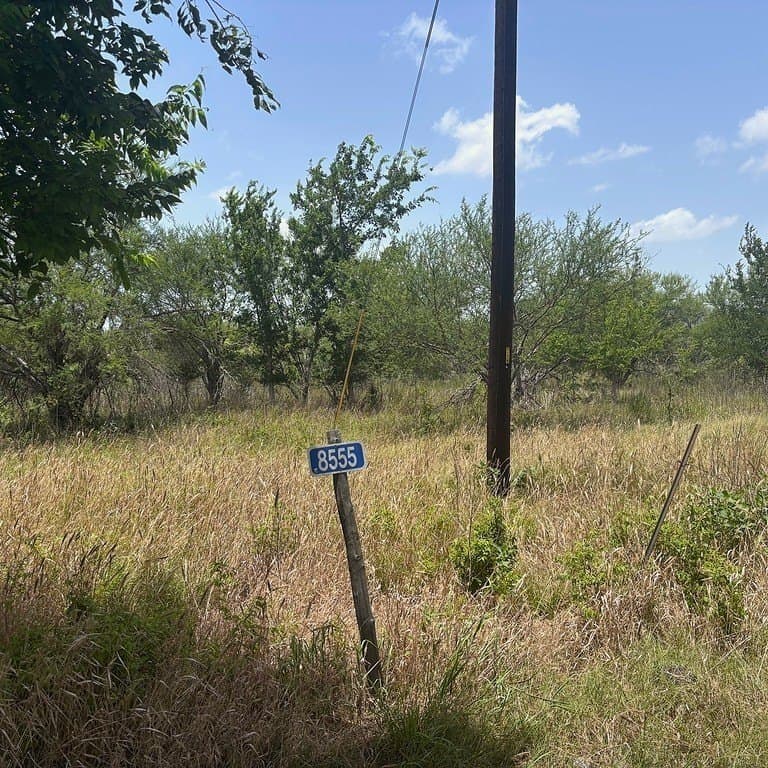 10.5 acres in Waller County gallery image 2