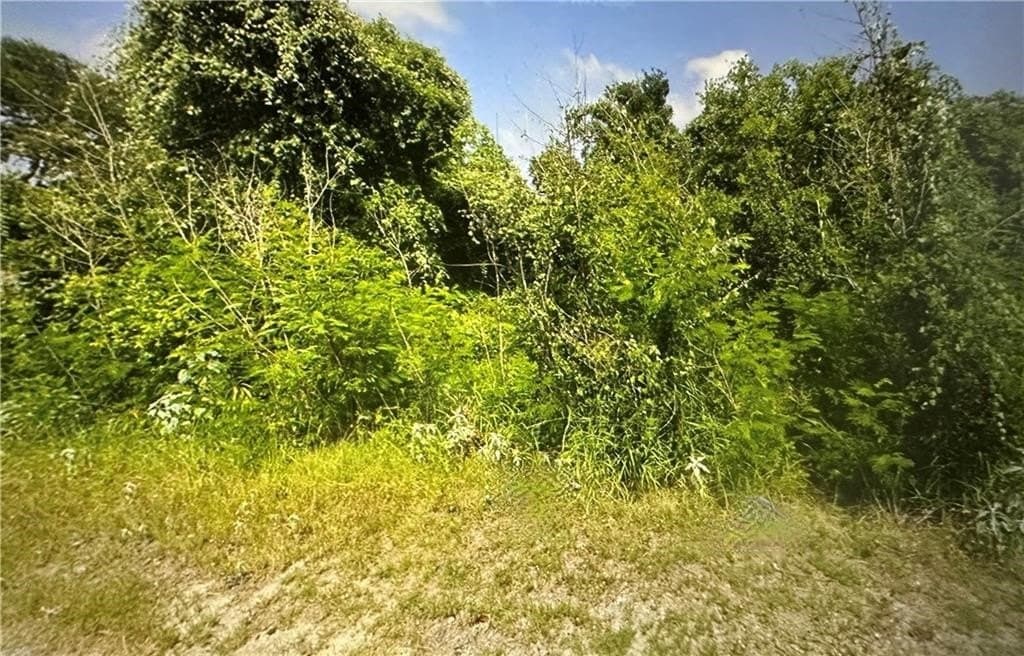 0.16 acres in San Patricio County gallery image 4