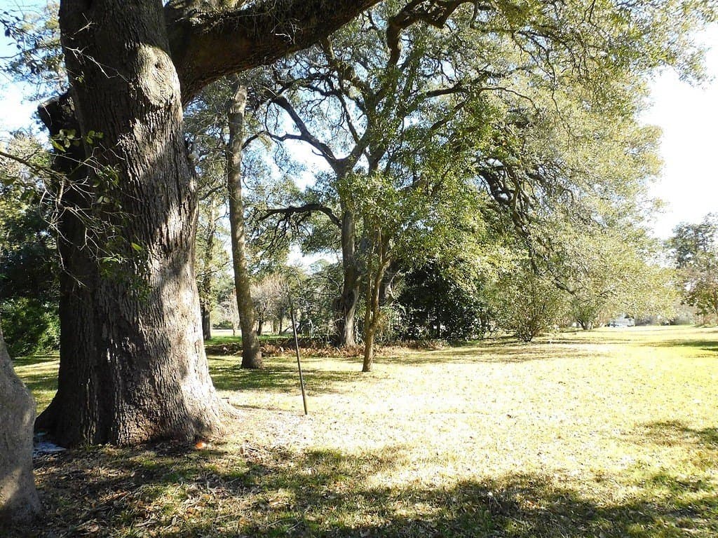 10.71 acres in Washington County - photo 6
